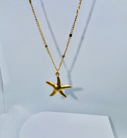 Collier Markit